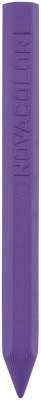 N.COLOR NC-1112 12Lİ KISA CRAYON MUM BOYA